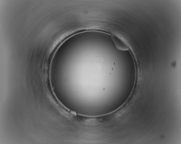 X0000112881093200908281631