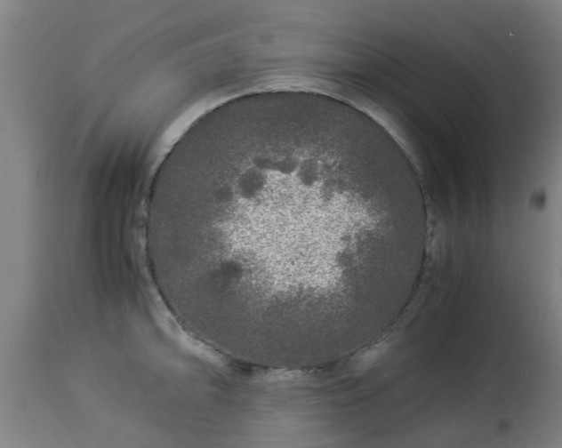 X0000112881094200908281631