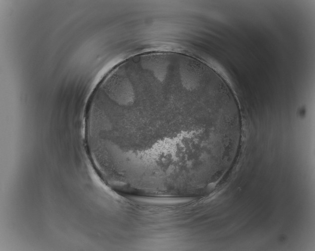 X0000112881095200908281631