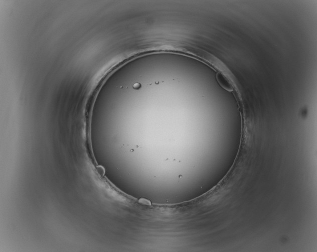 X0000112881096200908281631