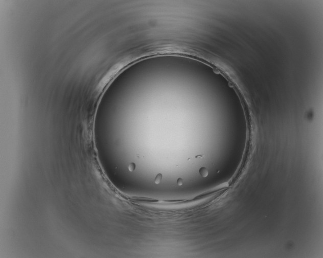 X0000112881097200908281631