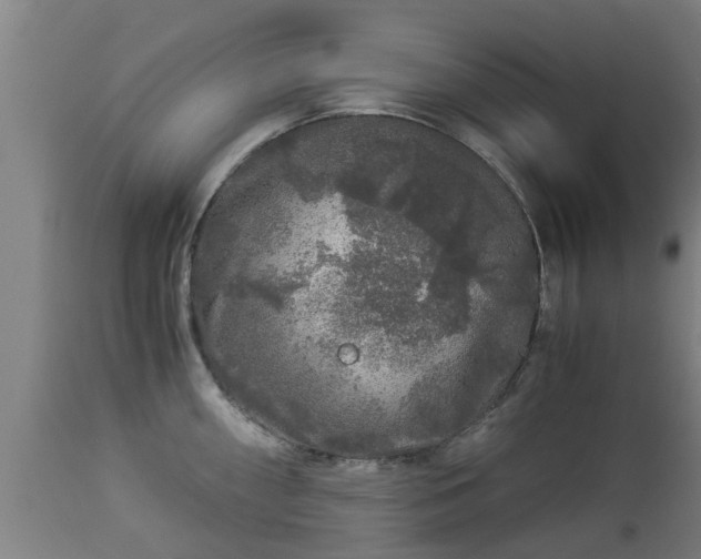 X0000112881098200908281631