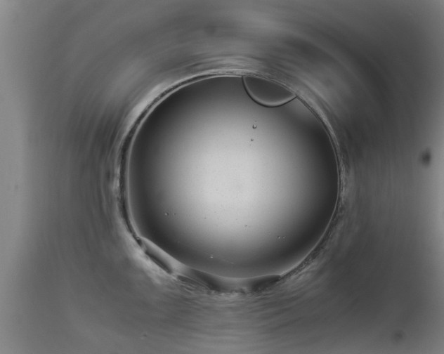 X0000112881099200908281631