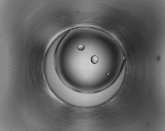 X0000112881100200908281631