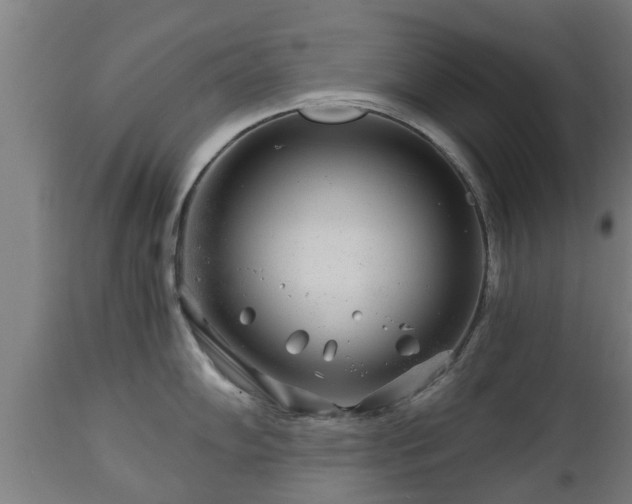 X0000112881102200908281631