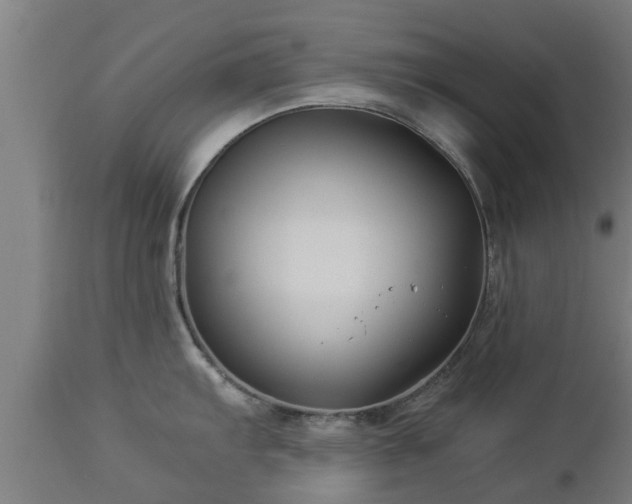 X0000112881103200908281631