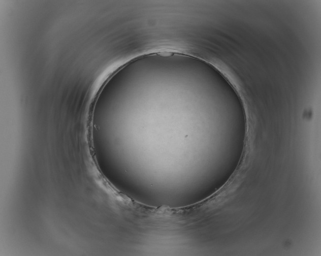 X0000112881104200908281631