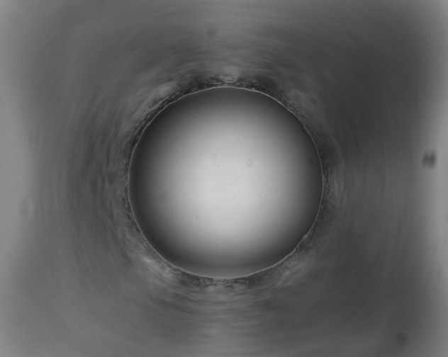 X0000112881105200908281630