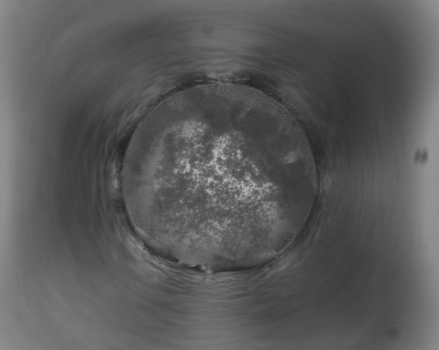 X0000112881106200908281630