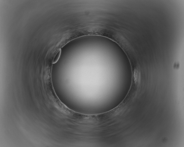 X0000112881107200908281630