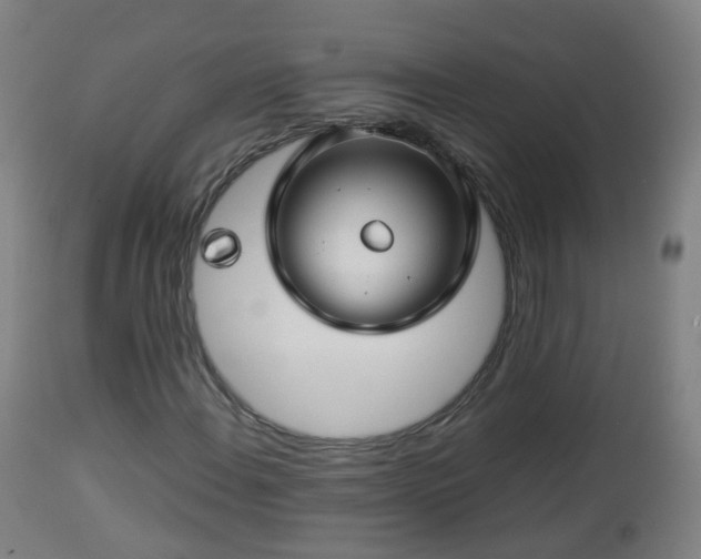 X0000112881108200908281630