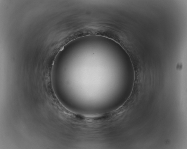 X0000112881109200908281630