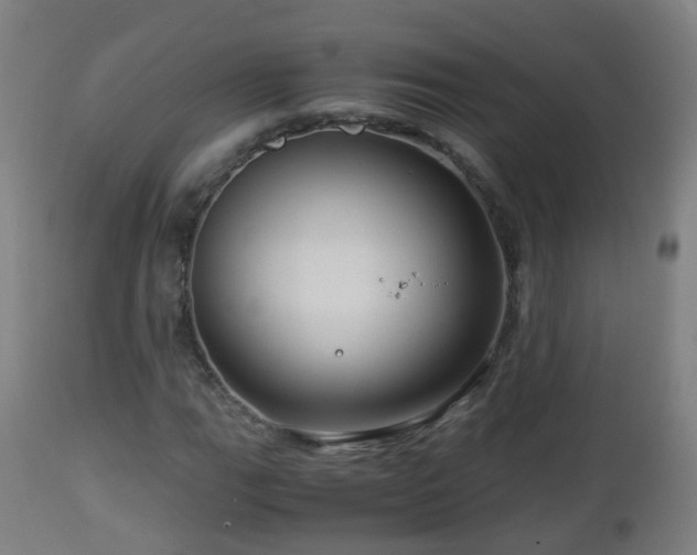 X0000112881111200908281630