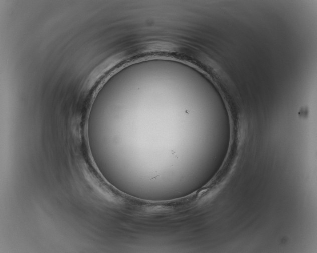 X0000112881113200908281630