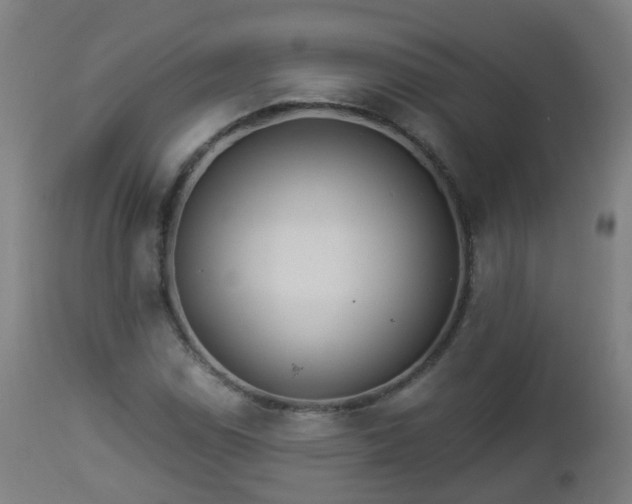 X0000112881114200908281630