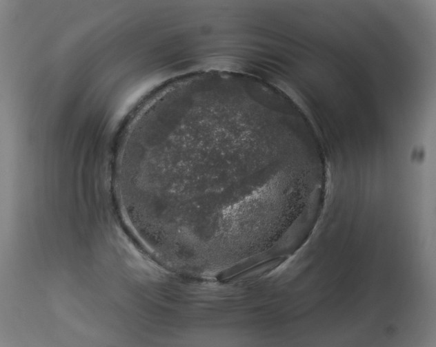 X0000112881115200908281630