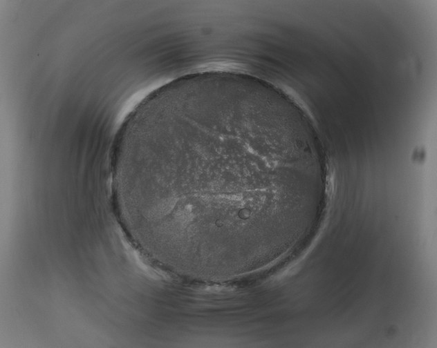 X0000112881117200908281630