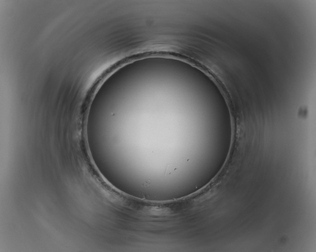 X0000112881119200908281630