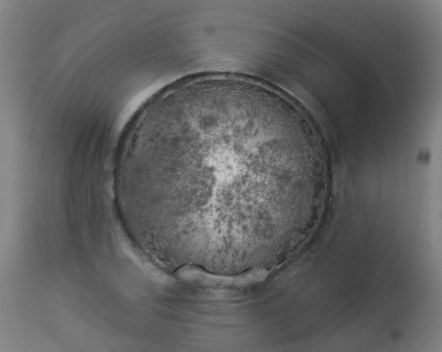 X0000112881120200908281630