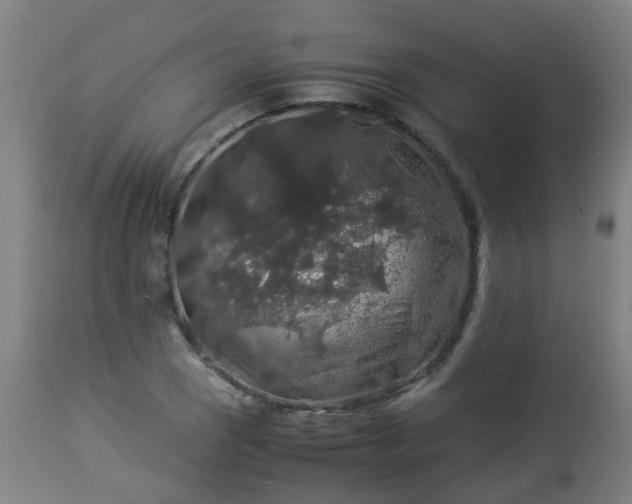 X0000112881121200908281630