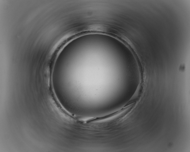 X0000112881123200908281630