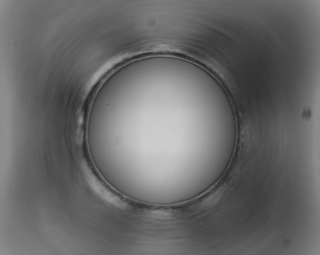 X0000112881126200908281630