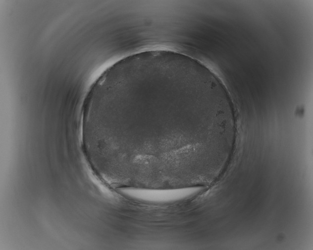 X0000112881127200908281630