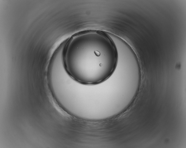 X0000112881128200908281630