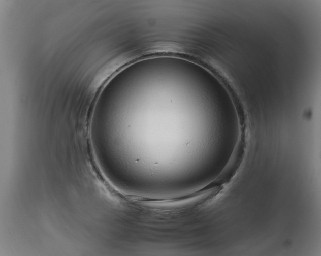 X0000112881129200908281630