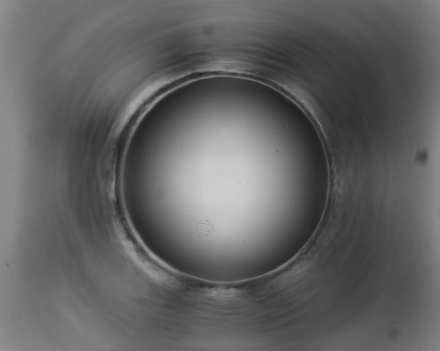 X0000112881131200908281630