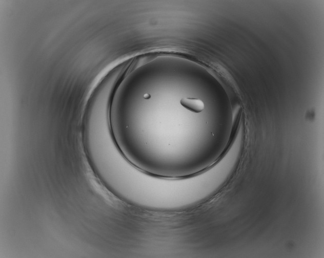 X0000112881132200908281630