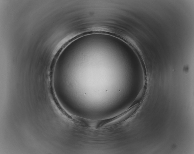 X0000112881133200908281630