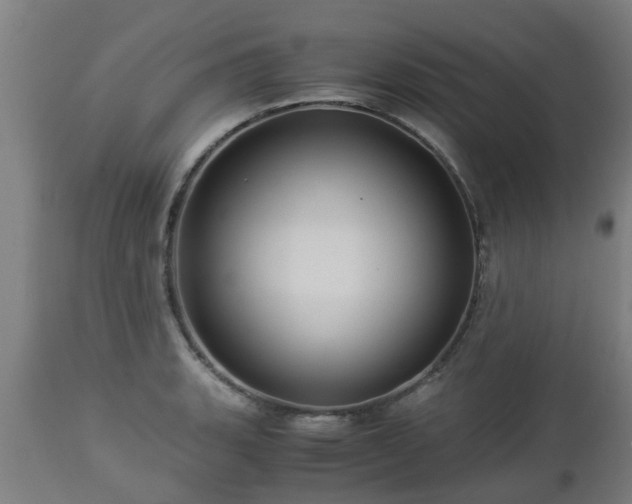 X0000112881135200908281630