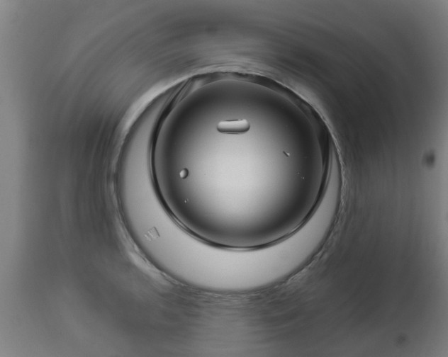 X0000112881136200908281630