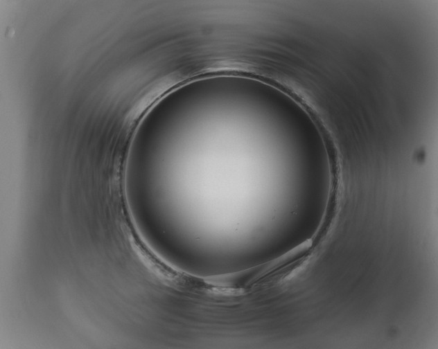 X0000112881137200908281631