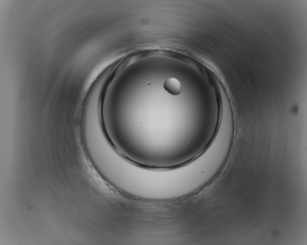 X0000112881138200908281631