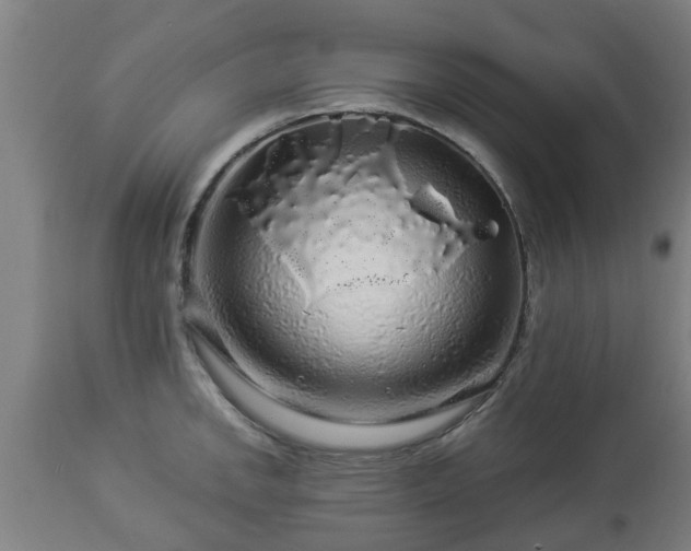 X0000112881142200908281631