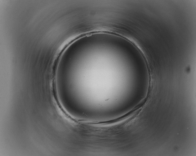 X0000112881143200908281631