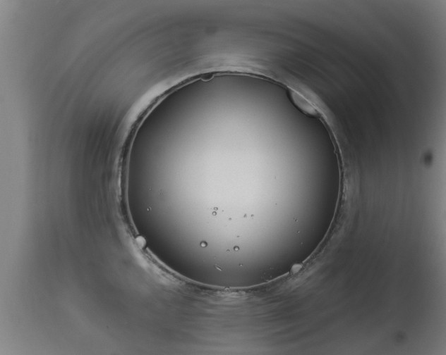 X0000112881144200908281631