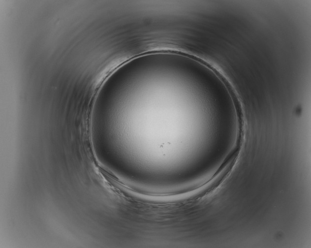 X0000112881145200908281631