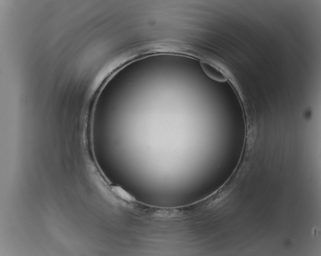 X0000112881146200908281631