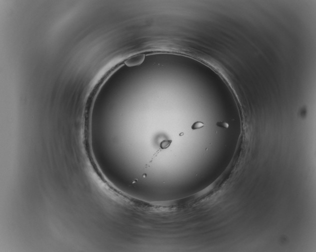 X0000112881147200908281631