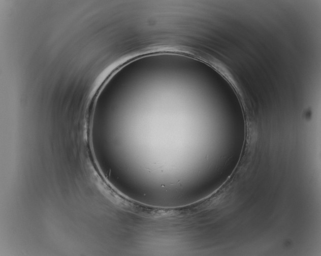 X0000112881148200908281631