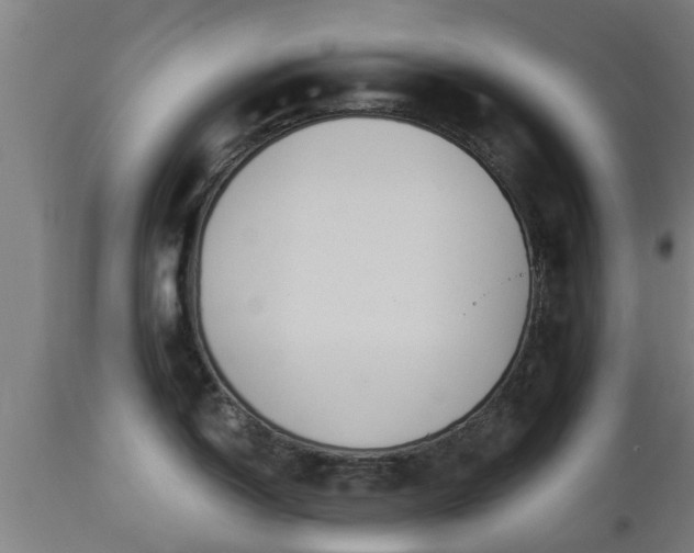 X0000112881150200908281631