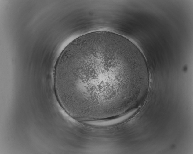 X0000112881151200908281631