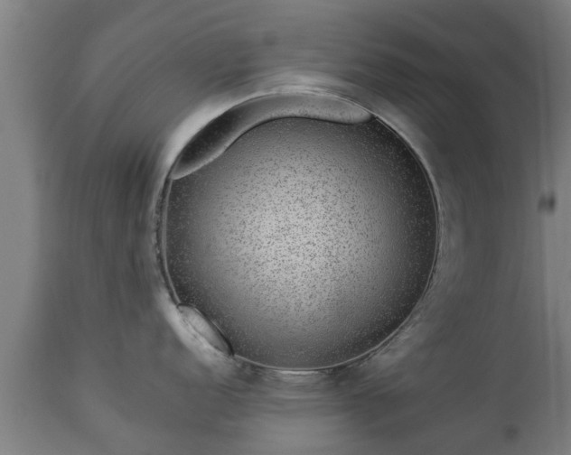 X0000112881152200908281631