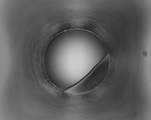 X0000112881153200908281630