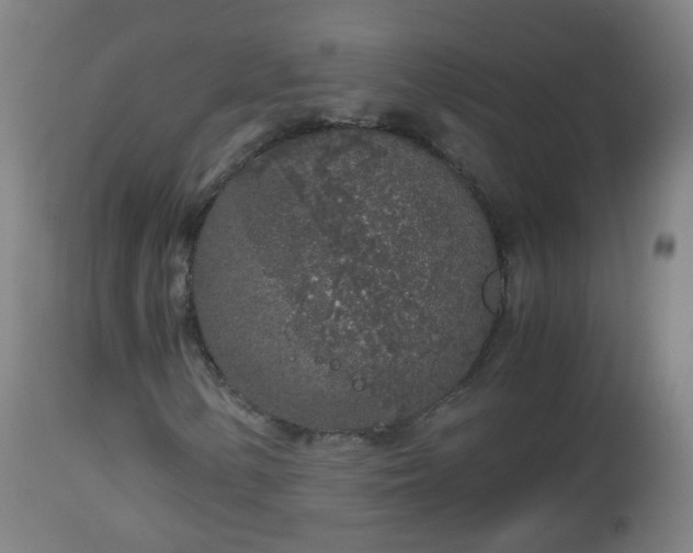 X0000112881154200908281630