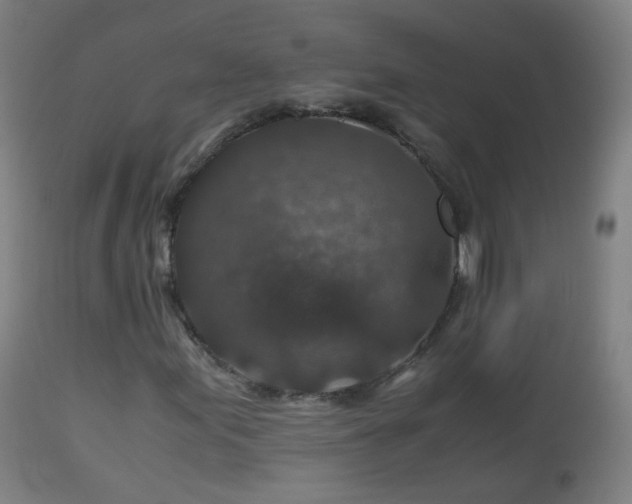 X0000112881155200908281630