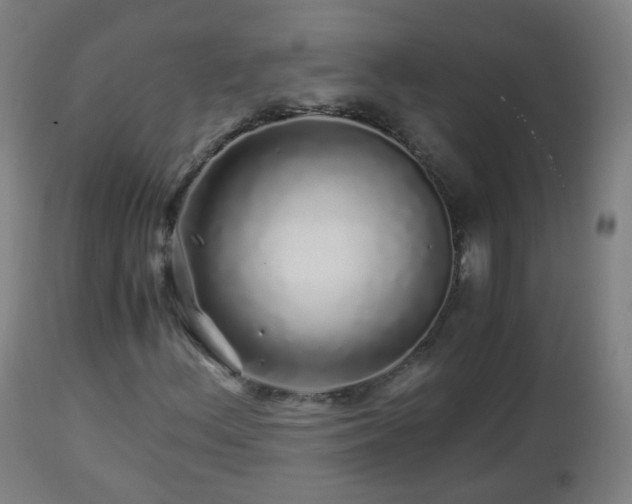 X0000112881156200908281630